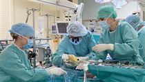 Lékaři z pražského Institutu klinické a experimentální medicíny (IKEM) před... | na serveru Lidovky.cz | aktuální zprávy