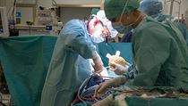 Lékaři z pražského Institutu klinické a experimentální medicíny (IKEM) před... | na serveru Lidovky.cz | aktuální zprávy