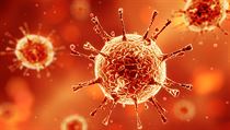 Virus (ilustrační foto) | na serveru Lidovky.cz | aktuální zprávy
