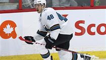 Útočník San Jose Sharks Tomáš Hertl (48) se raduje z branky. | na serveru Lidovky.cz | aktuální zprávy