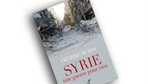 Frédéric Pichon, Syrie: Une guerre pour rien Frédéric Pichon, Syrie: Une guerre pour rien