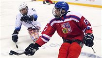Pavel Doležal a Luke McDermott v zápase sledge hokejistů ČR vs. USA na... | na serveru Lidovky.cz | aktuální zprávy