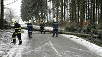 Kvůli popadaným stromům uzavřeli i některé silnice v Olomouckém kraji. | na serveru Lidovky.cz | aktuální zprávy