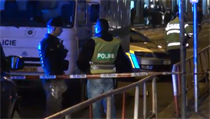 Policie u pražské silvestrovské nehody, při níž cizinec usmrtil turistku. | na serveru Lidovky.cz | aktuální zprávy