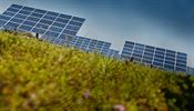 Podíl zelené energie má zvýšit i výstavba slunečních elektráren Solární panel (ilustrační foto) | na serveru Lidovky.cz | aktuální zprávy