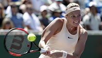 Petra Kvitová na turnaji v Miami. | na serveru Lidovky.cz | aktuální zprávy