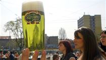 Zelené pivo na Zelený čtvrtek. To je již tradiční marketingový tah brněnského... | na serveru Lidovky.cz | aktuální zprávy