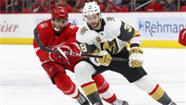 Český hokejista Tomáš Hyka (v bílém) při utkání NHL proti Detroitu | na serveru Lidovky.cz | aktuální zprávy