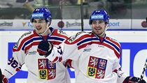 ČR - Švýcarsko, zápas Euro Hockey Challenge. Autor prvního gólu Martin Kaut... | na serveru Lidovky.cz | aktuální zprávy