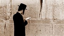 Ortodoxní žid u Zdi nářků | na serveru Lidovky.cz | aktuální zprávy