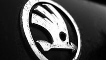 logo firmy Škoda Auto (ilustrační fotografie) | na serveru Lidovky.cz | aktuální zprávy