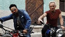Shaggy a Sting | na serveru Lidovky.cz | aktuální zprávy