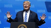 „Dokud budu v úřadu, druhý dodatek k ústavě se měnit nebude,“ řekl Trump. | na serveru Lidovky.cz | aktuální zprávy