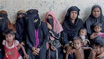 Exodus. Od loňského srpna prchlo z Myanmaru do sousedního Bangladéše před... | na serveru Lidovky.cz | aktuální zprávy