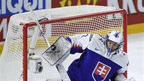 Utkání skupiny A mistrovství světa v hokeji: Slovensko - Francie. Slovenský... | na serveru Lidovky.cz | aktuální zprávy
