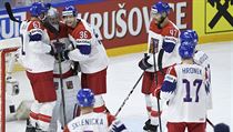 Utkání skupiny A mistrovství světa v hokeji: Bělorusko - ČR. Čeští hokejisté se... | na serveru Lidovky.cz | aktuální zprávy