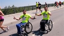 Vozíčkáři na trati Wings for Life. | na serveru Lidovky.cz | aktuální zprávy