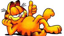 Kocour Garfield | na serveru Lidovky.cz | aktuální zprávy