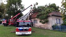 V Pikárci na Žďársku spadl strom na rodinný dům. | na serveru Lidovky.cz | aktuální zprávy