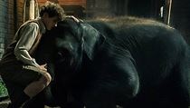 Chlapec Tom a slon Buster. Snímek Zoo (2018). Režie: Colin McIvor. | na serveru Lidovky.cz | aktuální zprávy