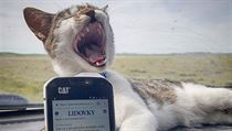 Posádka třílitorového Nissanu Patrol je volatilní. V Gruzii se na palubě... | na serveru Lidovky.cz | aktuální zprávy