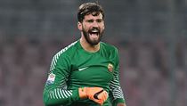 Alisson Becker | na serveru Lidovky.cz | aktuální zprávy
