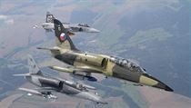 Letouny L 39 Albatros, L 159 Alca, Jas 39 Gripen. | na serveru Lidovky.cz | aktuální zprávy