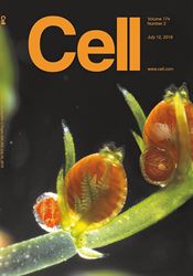 Čeští vědci pomohli s objasněním přechodu života z vody na souš Obálka prestižního biologického časopisu The Cell, ve kterém článek vyšel | na serveru Lidovky.cz | aktuální zprávy