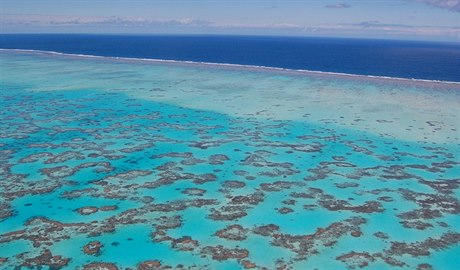Velký bariérový útes v Austrálii.