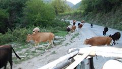 Doprava na Kavkazu je hodn odliná od té v esku.