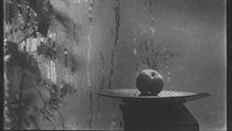 Josef Sudek - Zátiší na okně mého ateliéru. | na serveru Lidovky.cz | aktuální zprávy