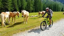 Hlavní městečka oblasti Madonna di Campiglio a Pinzolo nepatří k místům, kde by... | na serveru Lidovky.cz | aktuální zprávy