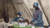 Testování na přítomnost viru ebola (Sierra Leone). | na serveru Lidovky.cz | aktuální zprávy