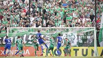 Momentka ze zápasu Bohemians Praha 1905 - Baník Ostrava. | na serveru Lidovky.cz | aktuální zprávy