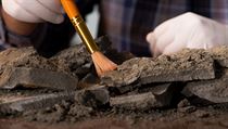 Archeologie (ilustrační foto) | na serveru Lidovky.cz | aktuální zprávy