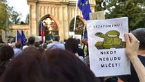 Demonstrace pod názvem "Nezapomínáme. Protestujeme." | na serveru Lidovky.cz | aktuální zprávy