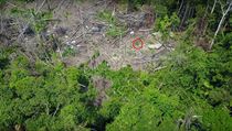 Záběry z dronu odhalily nový izolovaný kmen v Amazonii. | na serveru Lidovky.cz | aktuální zprávy