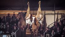 V manéži. Na Letní Letnou poprvé v historii dorazil soubor s živými zvířaty.... | na serveru Lidovky.cz | aktuální zprávy