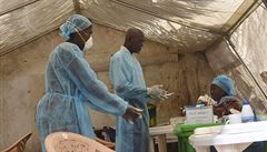 Testování na pítomnost viru ebola (Sierra Leone).