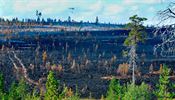 Ekopsychologický výzkum: Většinu Čechů projev změn klimatu děsí Dívka svými protesty reaguje na největší vlny horka, které zasáhly Švédsko od... | na serveru Lidovky.cz | aktuální zprávy