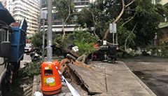 Vyvrácené stromy, odpadky na ulicích a střepy. Tak vypadal Hongkong po řádění... | na serveru Lidovky.cz | aktuální zprávy