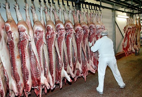 Vepové maso (ilustraní foto)