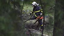 Vichřice Fabienne, která se přehnala přes ČR v noci z neděle na pondělí, za... | na serveru Lidovky.cz | aktuální zprávy