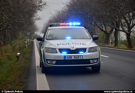 Policie (ilustraní foto)