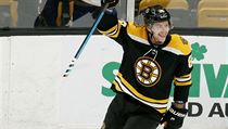 Hokejový útočník David Pastrňák druhým hattrickem v NHL pokořil hranici 100... | na serveru Lidovky.cz | aktuální zprávy
