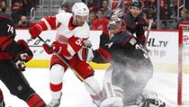 Brankář Petr Mrázek pomohl v pondělním utkání NHL k výhře hokejistů Caroliny... | na serveru Lidovky.cz | aktuální zprávy