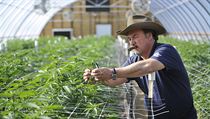 Herec Jim Belushi pěstuje konopí ve státu Oregon. | na serveru Lidovky.cz | aktuální zprávy