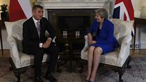 Premir Andrej Babi se v Londn setkal s britskou premirkou Theresou Mayovou.