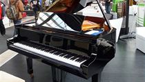 Piano Petrof na veletrhu. | na serveru Lidovky.cz | aktuální zprávy