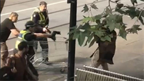Hrdina s vozíkem Michael Rogers. | na serveru Lidovky.cz | aktuální zprávy